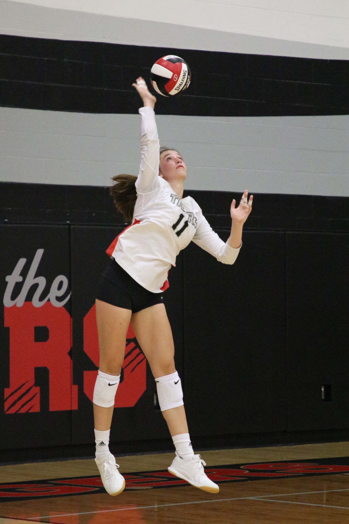 Anderson_SHHawks_7237.JPG